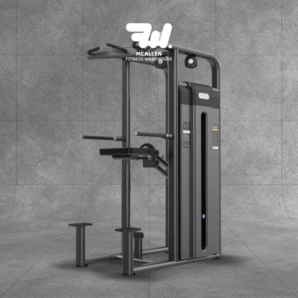 Assisted Pull-Up & Dip Equipment